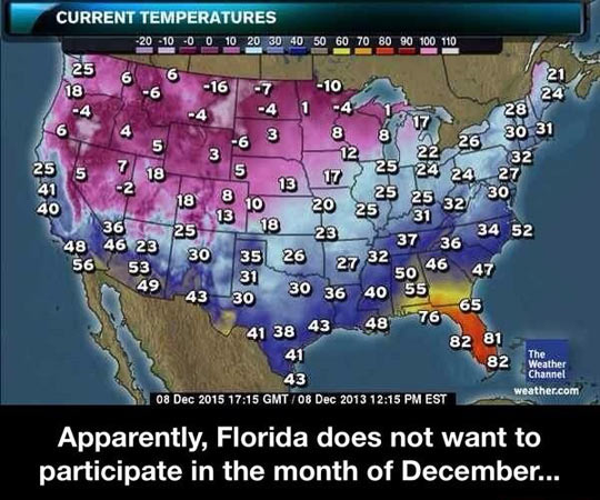 Florida Hasn
