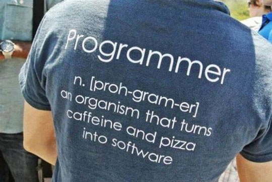 The Meaning Of Programmer