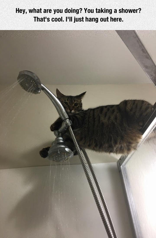 You Taking A Shower?
