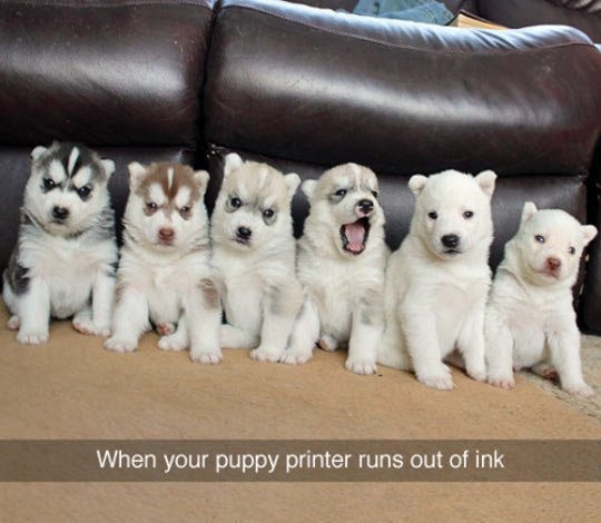 Puppy Printer