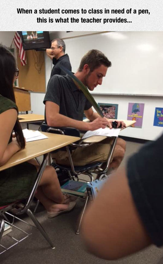 funny-student-class-old-feather-pencil