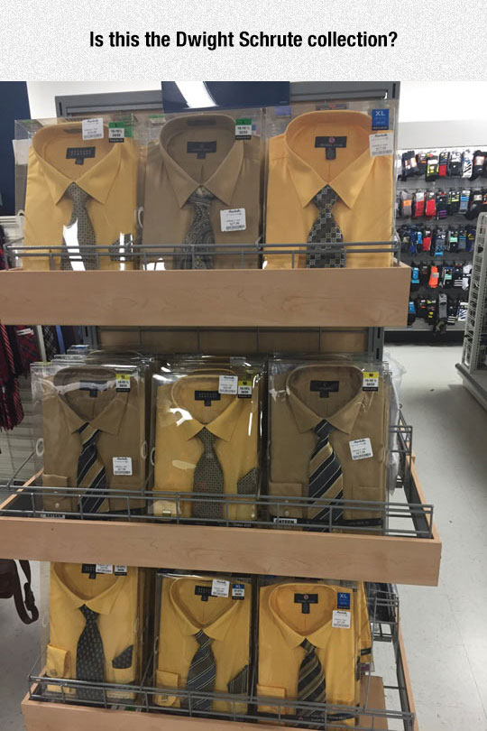 Dwight Schrute Section