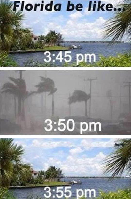 How The Weather Works In Florida