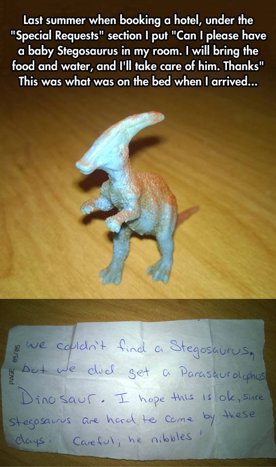 cool-Hotel-special-request-Stegosaurus-toy