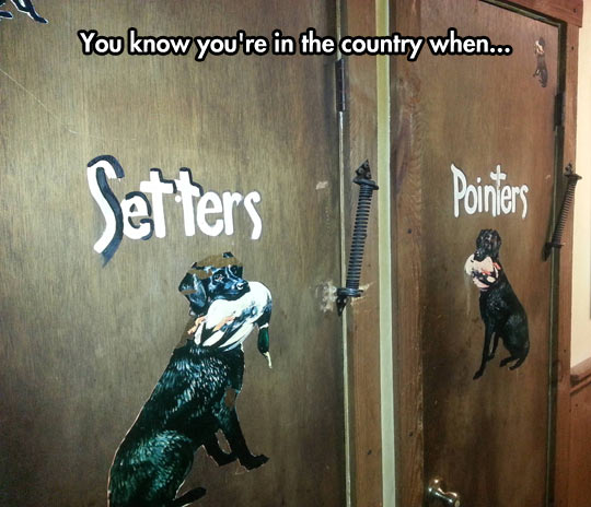 cool-bathroom-name-gender-dog-drawing
