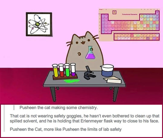 cool-cat-chemistry-lab-safety