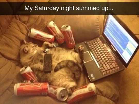 cool-cat-computer-beer-can-couch