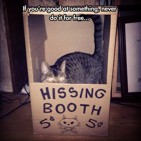 cool-cat-hissing-booth