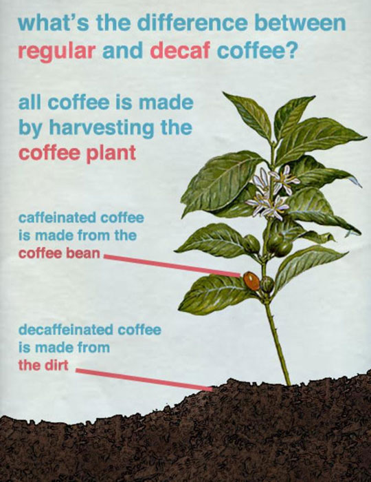How Decaf Coffee Is Actually Made