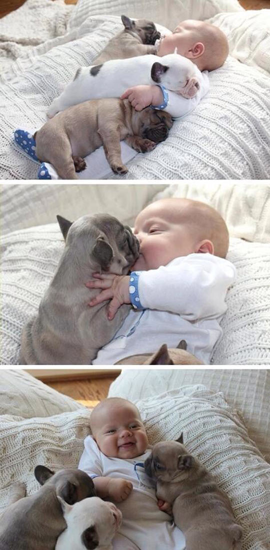 Baby And Puppies