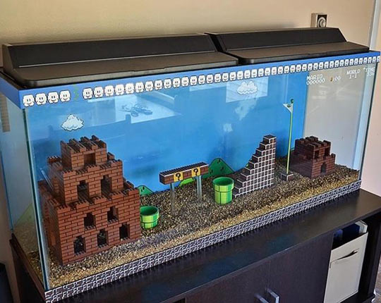 Quite Possibly The Best Fish Tank Ever