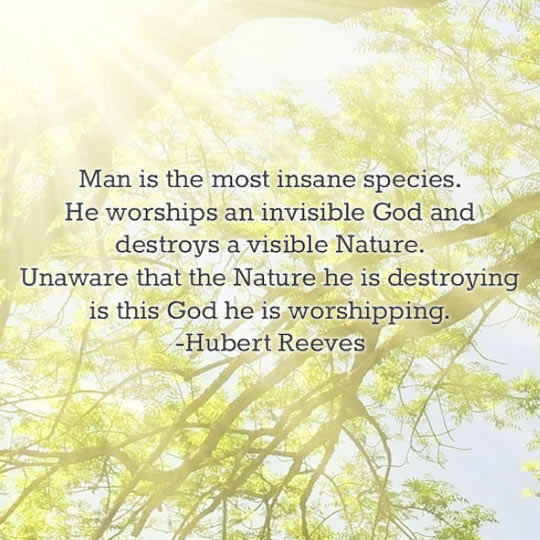 The Most Insane Species
