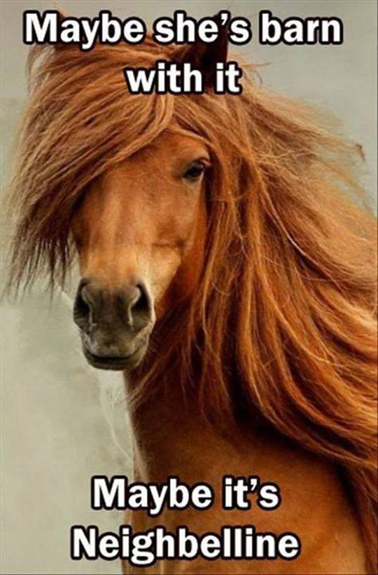 cool-long-hair-horse-fashion