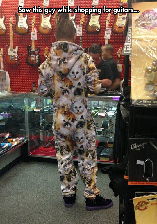 cool-music-store-cat-clothes