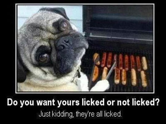 Licked Or Not Licked?