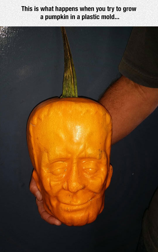 cool-pumpkin-head-shape-mold
