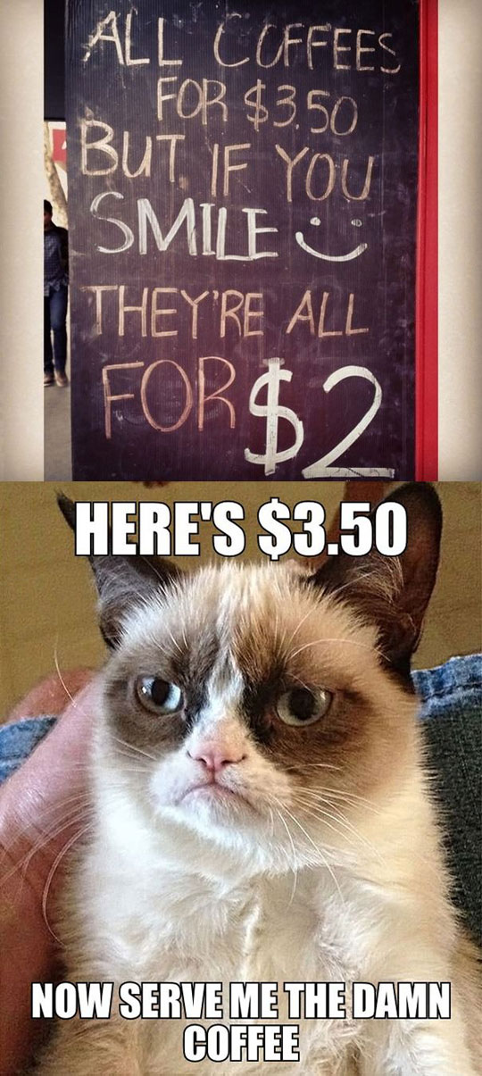 cool-sign-money-Grumpy-Cat