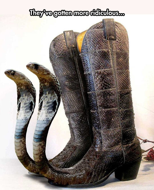 Snakes In My Boots