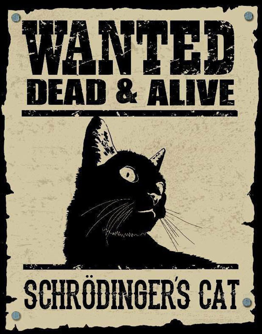 cool-wanted-poster-cat-dead-alive