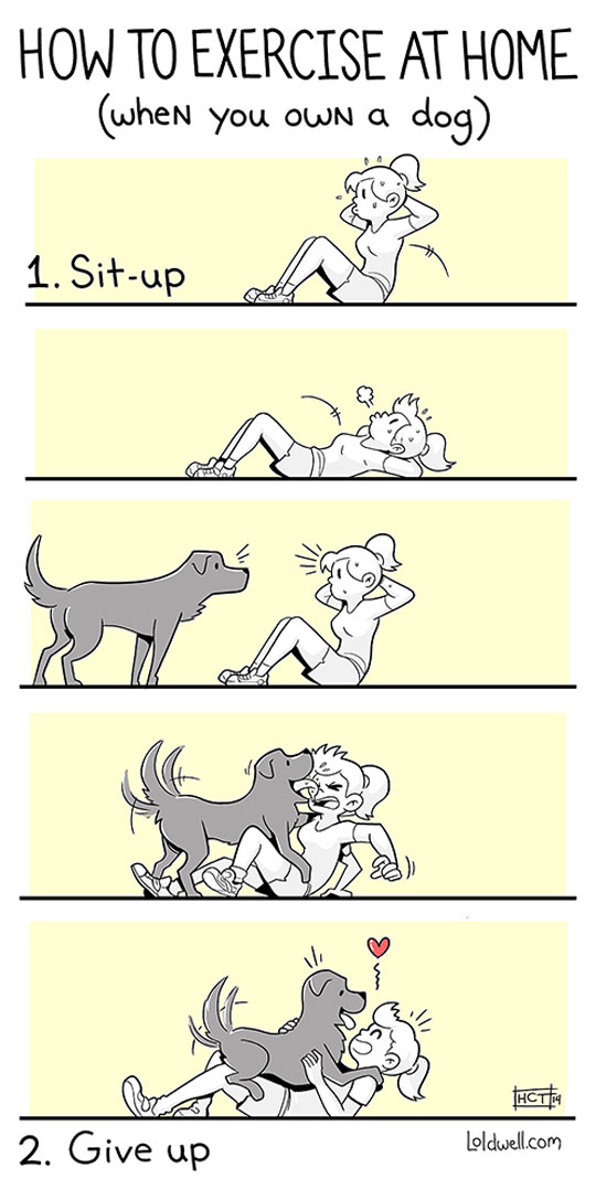 How To Exercise When You Own A Dog