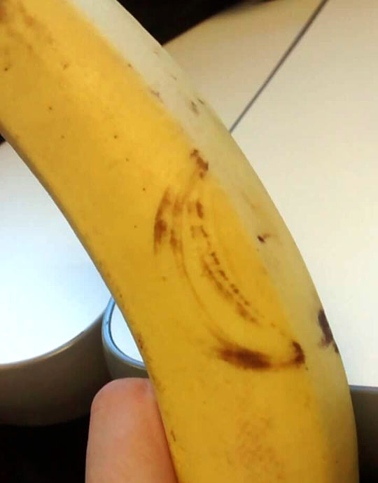 Banana On A Banana