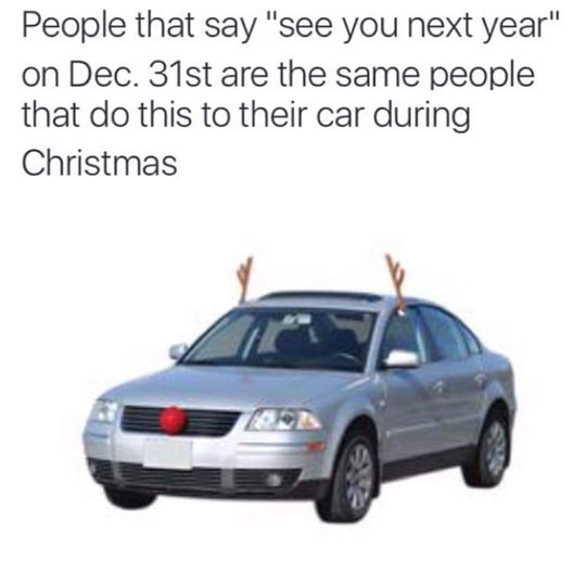 funny-car-antlers-nose