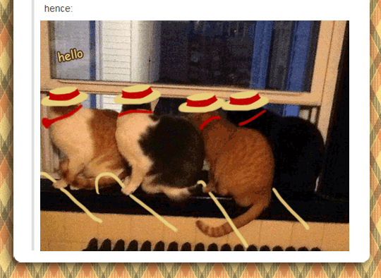 3 cats singing