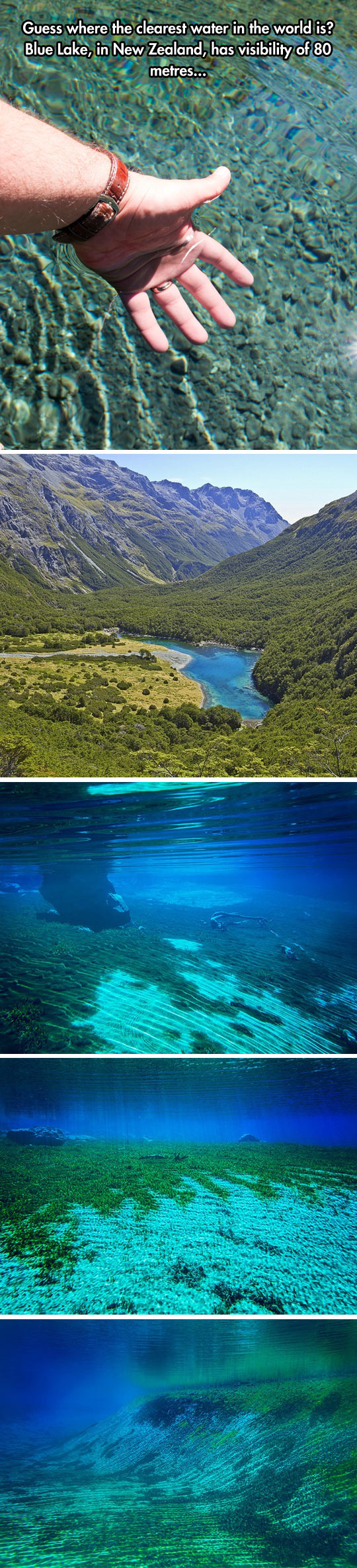 water-Blue-Lake-New-Zealand