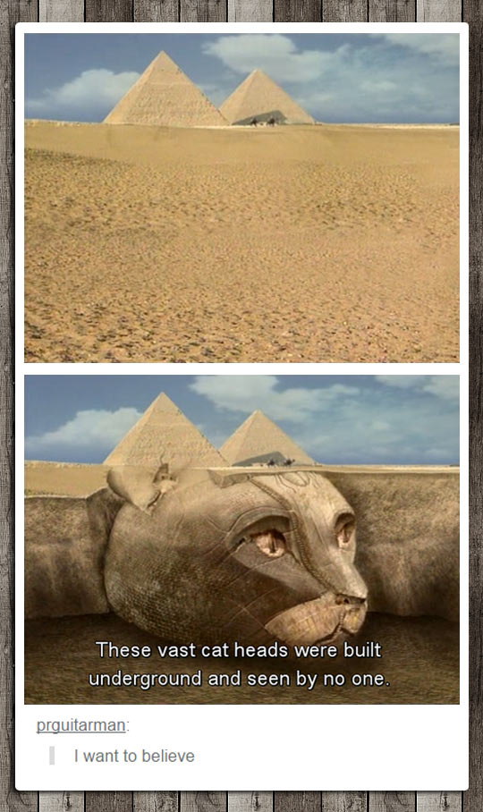 Egyptian Cats
