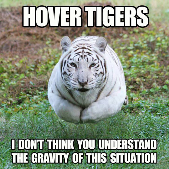 Hover Tigers