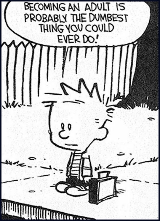 cool-Calvin-Hobbes-cartoon-adult