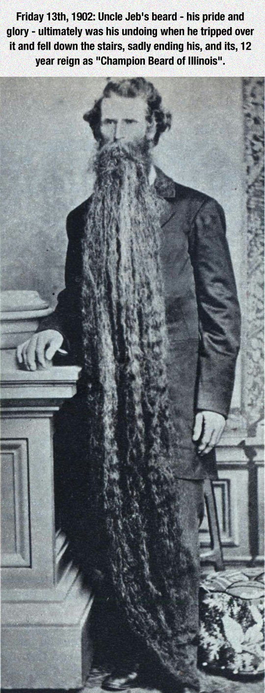 cool-Champion-Beard-long-man
