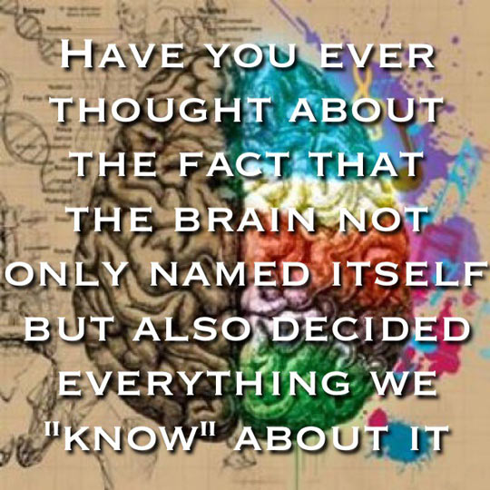 cool-brain-named-everything-thought