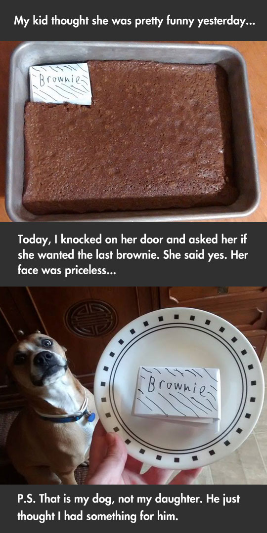 Battle Of The Brownies