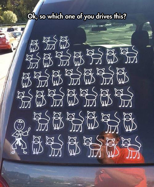 cool-car-cat-stickers-Karate
