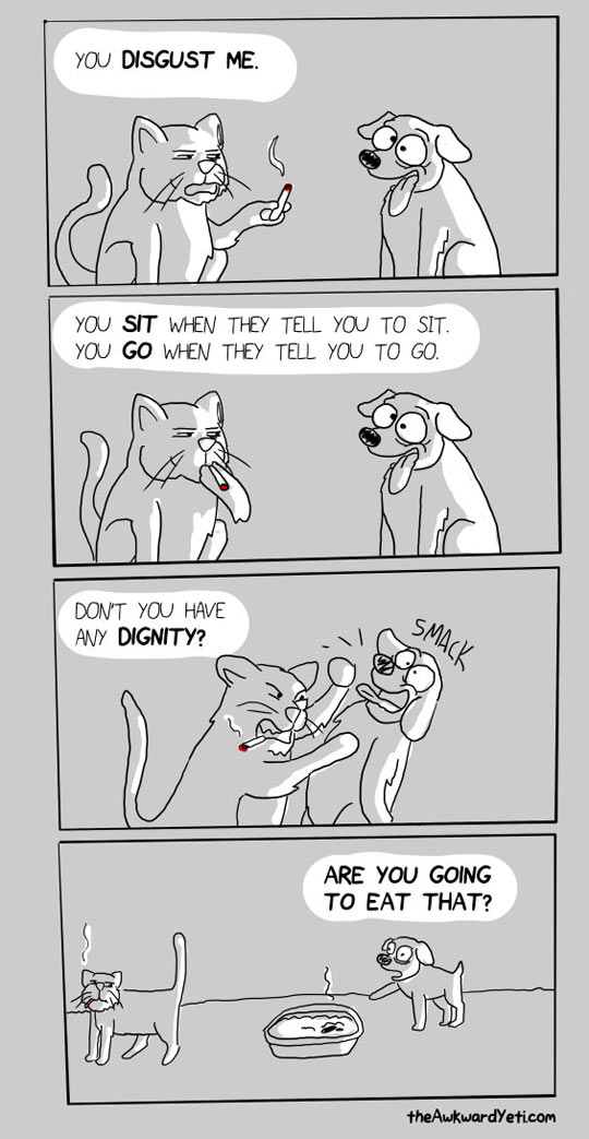 cool-cat-dog-smoking-dignity