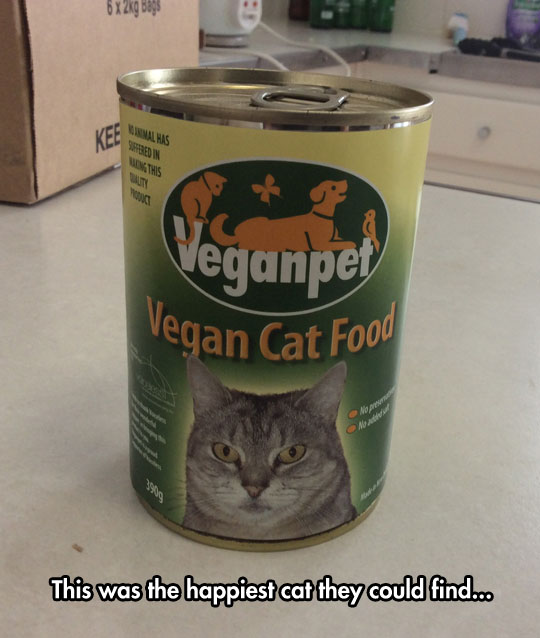 cool-cat-food-vegan-can