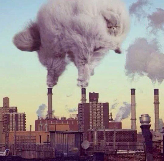 cool-cat-smog-factory-pollution