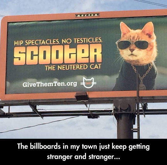 Vet Billboards