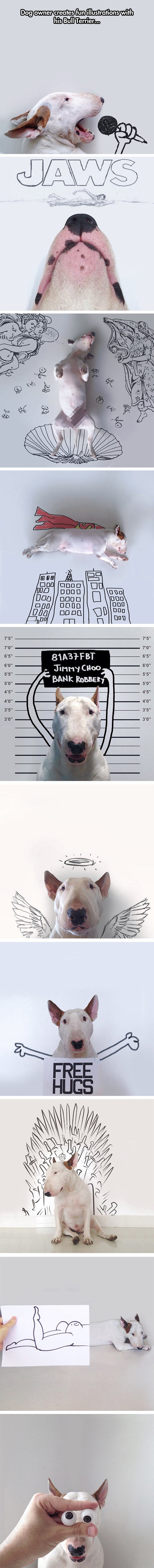 cool-dog-owner-drawing-Bull-Terrier
