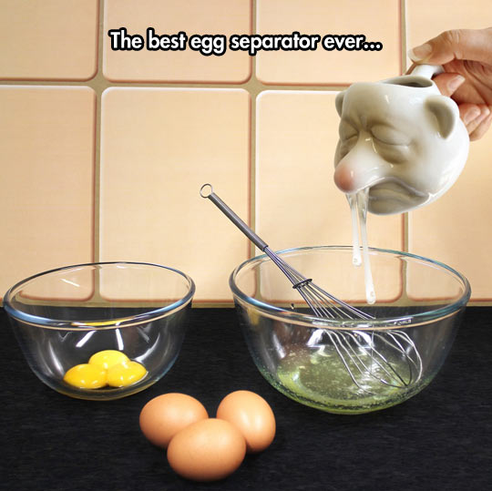Egg Separator Win