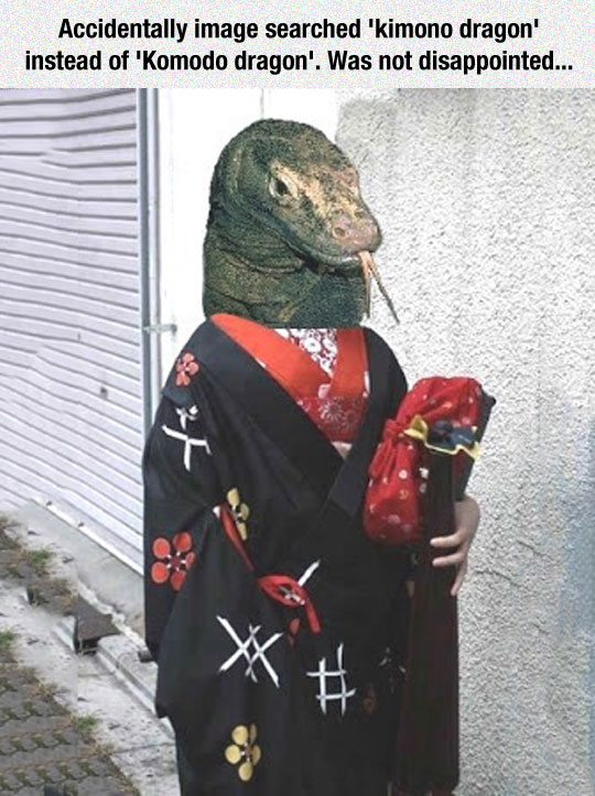 cool-kimono-Komodo-dragon