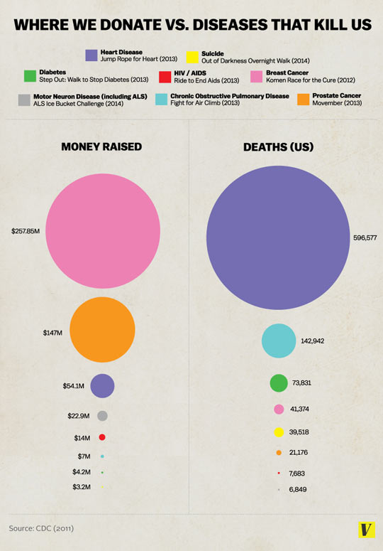 Where The Money Actually Goes