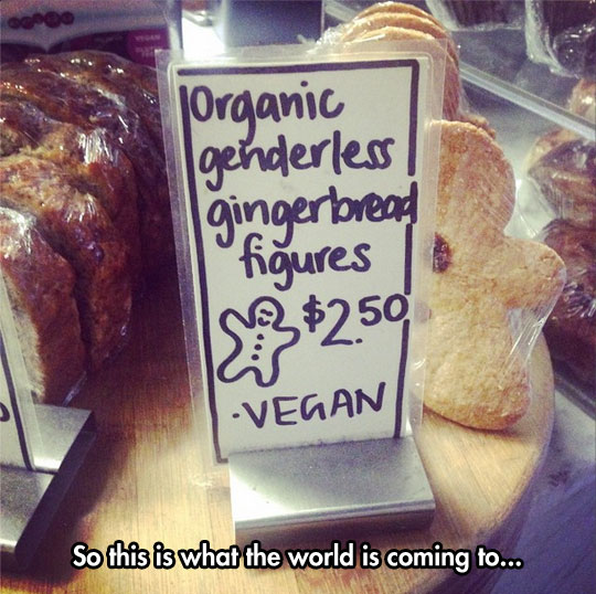 cool-organic-genderless-gingerbread-figures