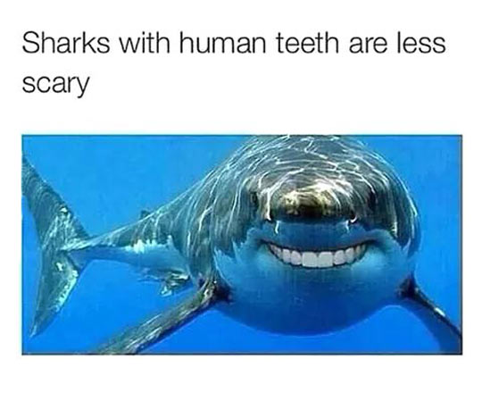 Shark Smiles