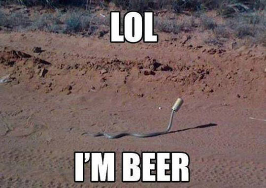 cool-snake-beer-can-trap