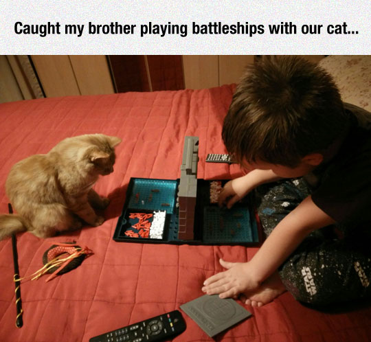 cool-toddler-playing-Battleship-cat-bed