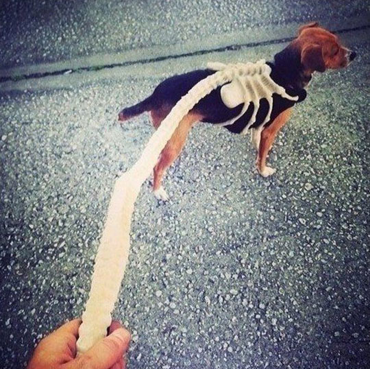 dog-leash-hugger-Alien