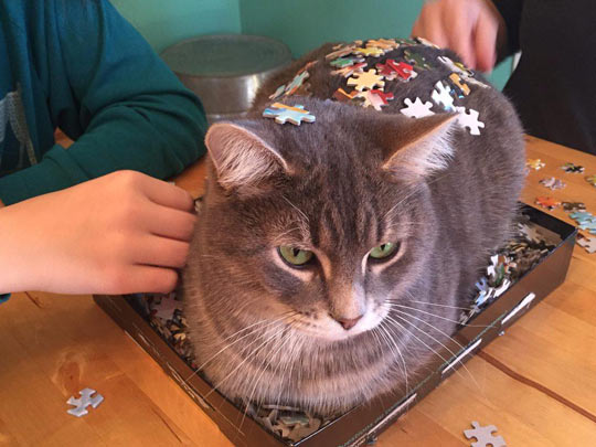These 3D Puzzles Are So Lifelike