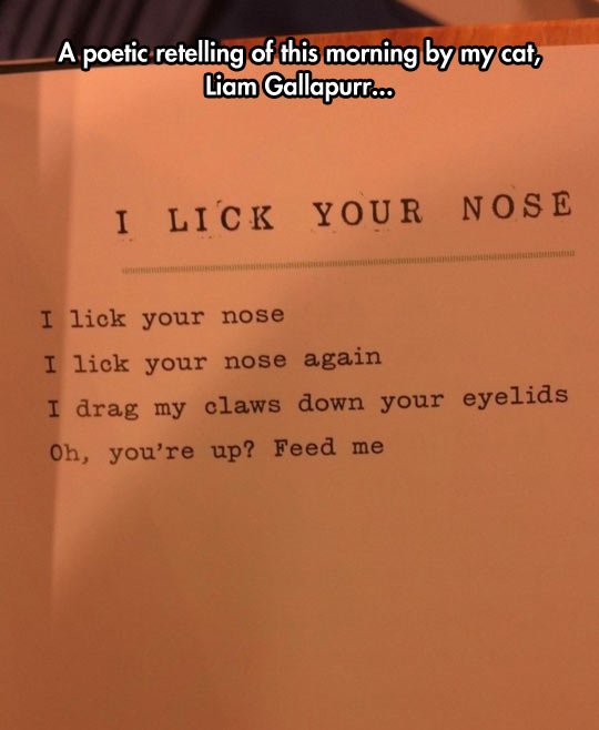 I Lick Your Nose Poem